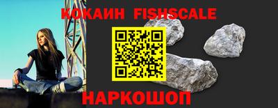 индика Донецк