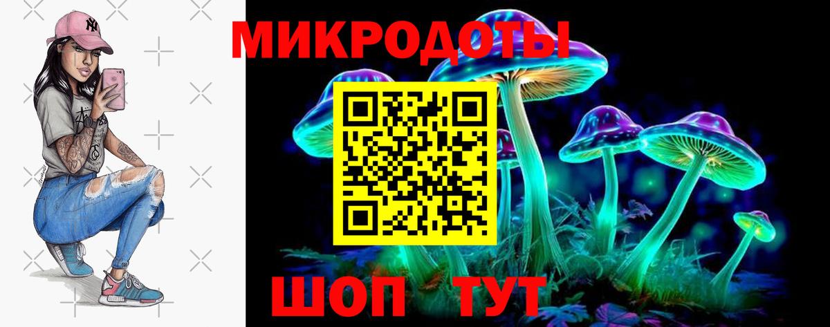 Псилоцибиновые грибы Cubensis Лянтор